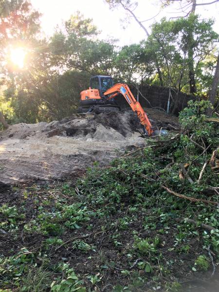 nettoyage terrain au Cap Ferret
