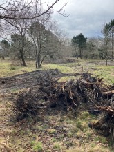 Nos prestations sur le secteur de Andernos-les-Bains 33510