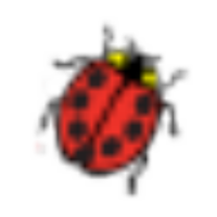 ostreiculteur GUJAN MESTRAS le routioutiou